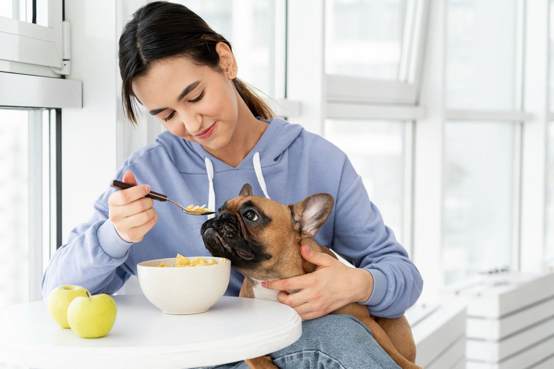 Choosing the Right Food for Your Pet: A Guide for Pet Parents