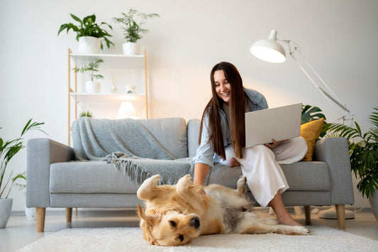 How to Create a Comfortable Living Space for Your Pet