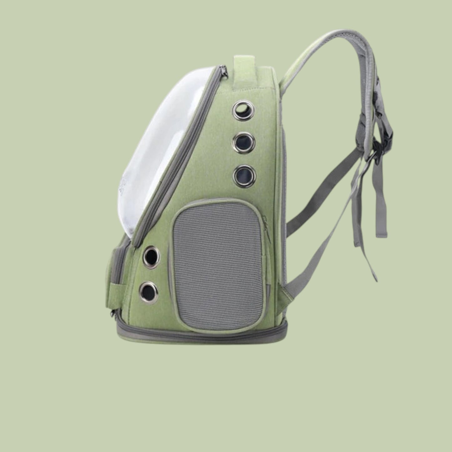 Transparent Carrier Backpack