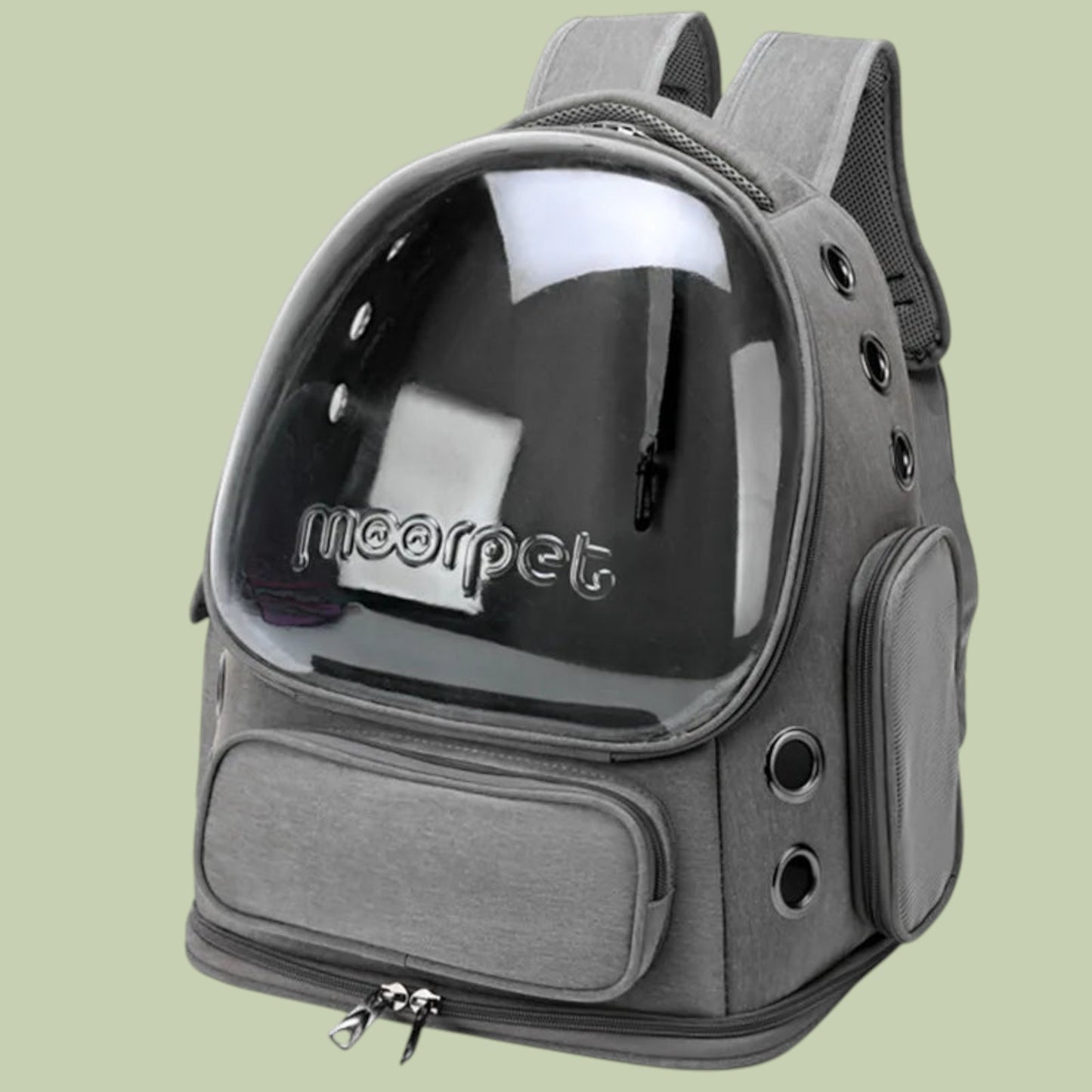 Transparent Carrier Backpack