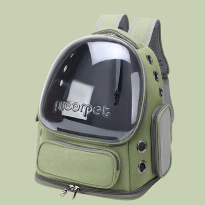 Transparent Carrier Backpack