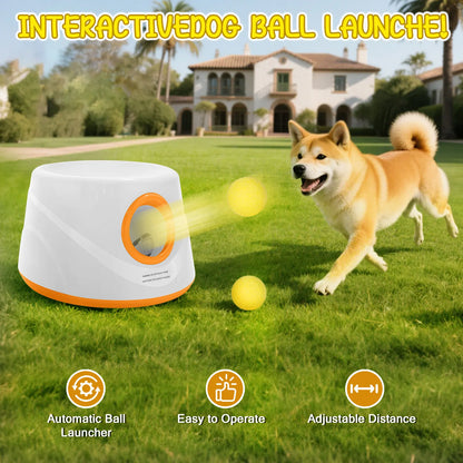 Automatic Dog Ball Launcher