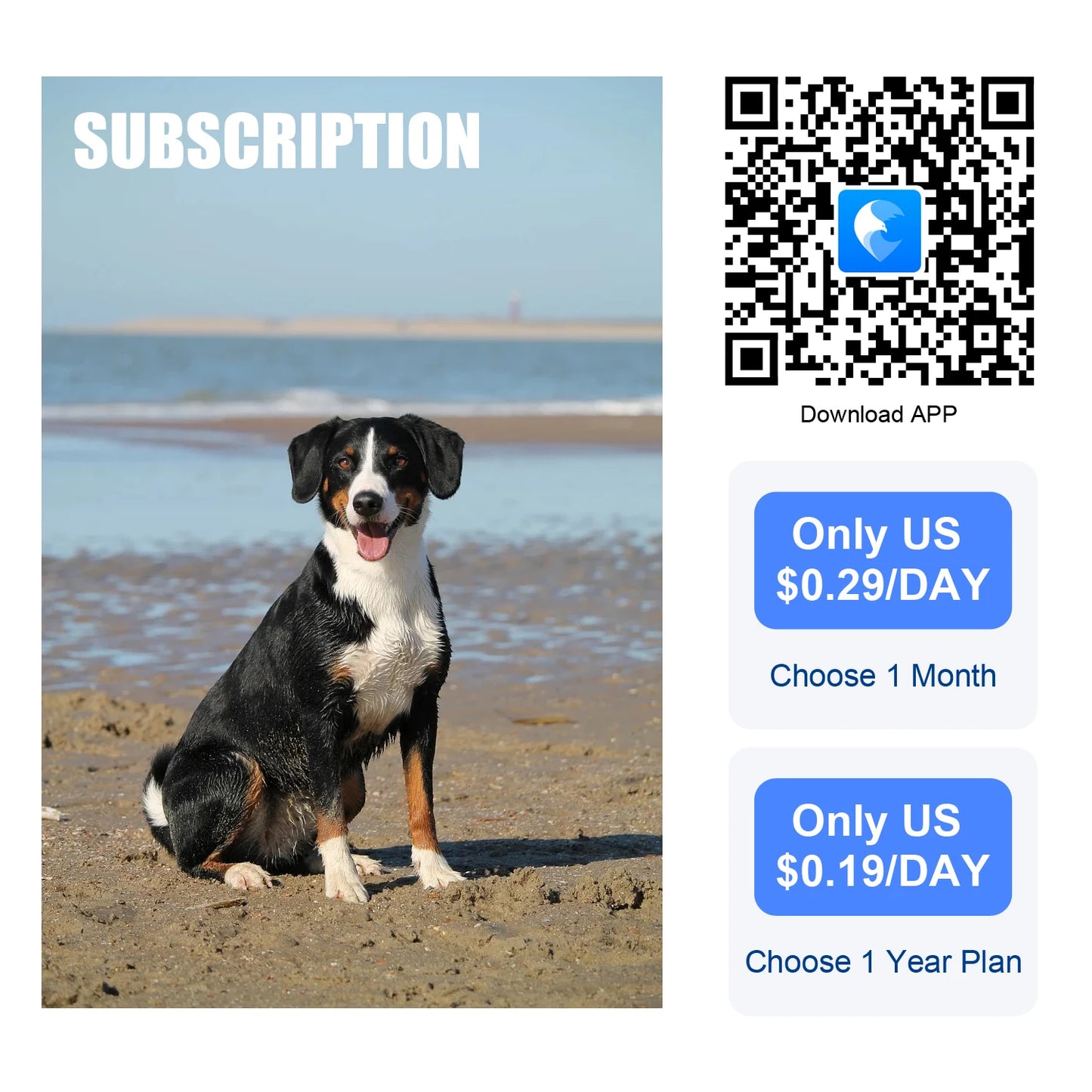 GPS Pet Tracker Collar