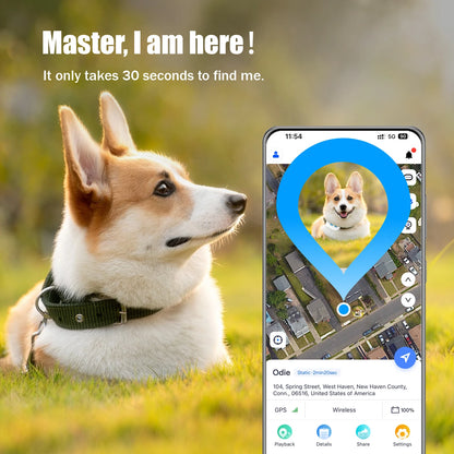 GPS Pet Tracker Collar