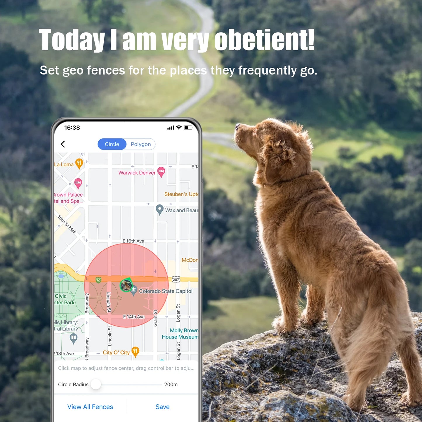 GPS Pet Tracker Collar