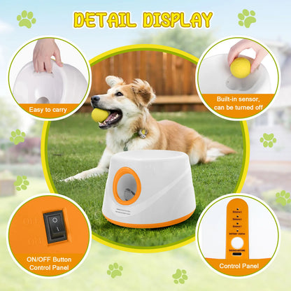 Automatic Dog Ball Launcher