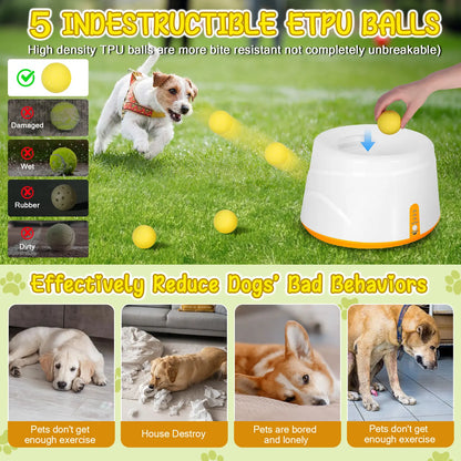Automatic Dog Ball Launcher