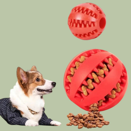 Robuster Kauball aus Gummi