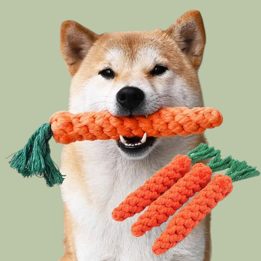 Robustes Karotten-Kauspielzeug